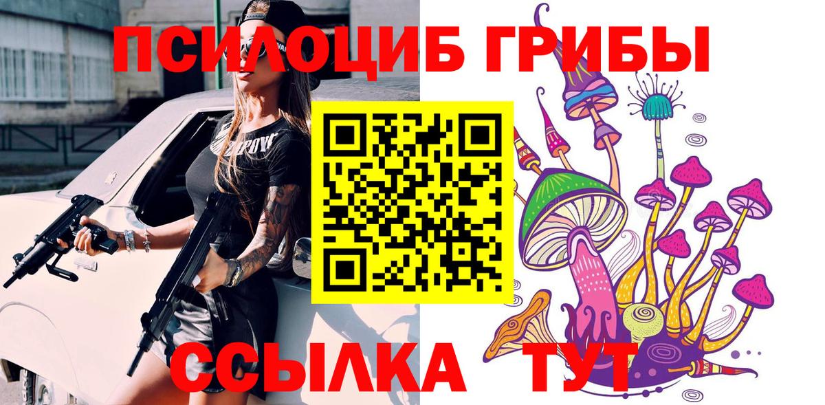 Галлюциногенные грибы Magic Shrooms  закладки  Северск  Вход с VPN  Псилоцибиновые грибы мицелий 