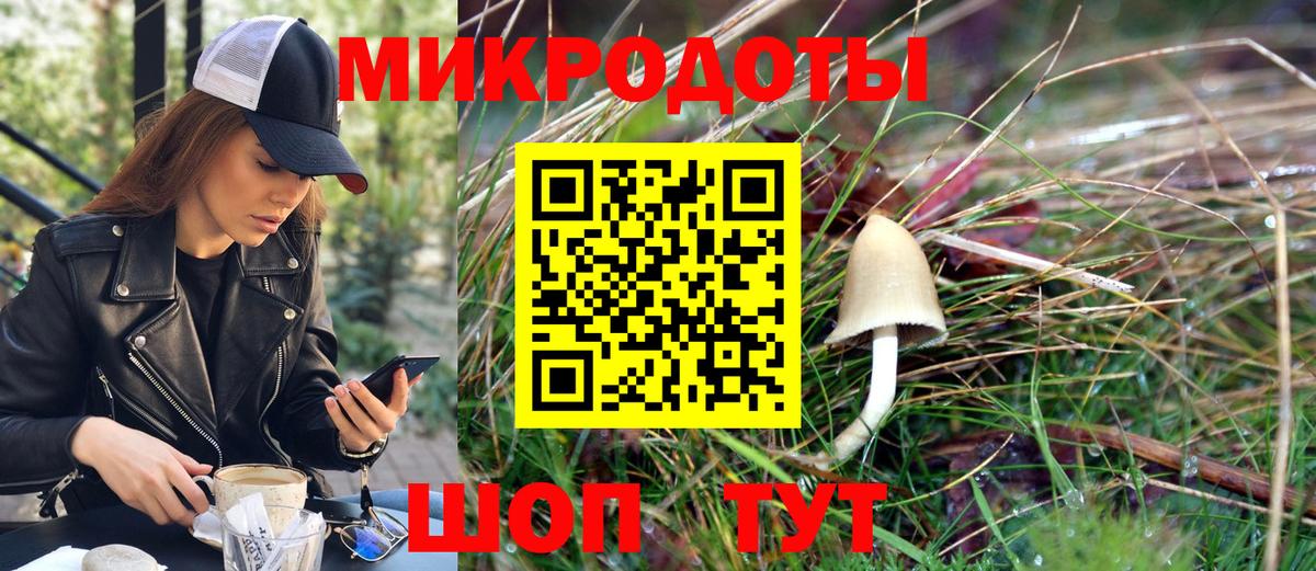 Галлюциногенные грибы Cubensis Северск